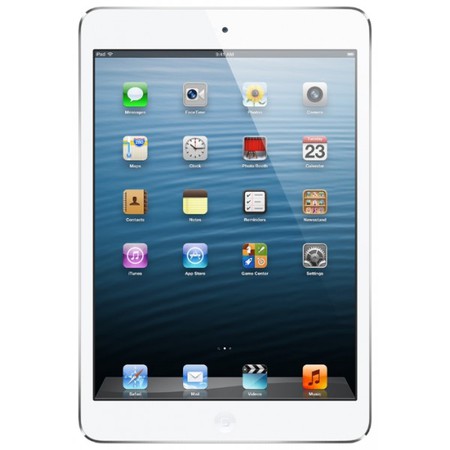 Apple iPad mini 16Gb Wi-Fi + Cellular черный - Тара