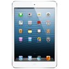 Apple iPad mini 16Gb Wi-Fi + Cellular белый - Тара
